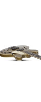 Schecter Corsair Bass Metallic Gold (MGLD)