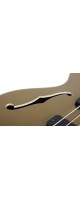 Schecter Corsair Bass Metallic Gold (MGLD)