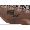 Schecter Nick Johnston PT Atomic Ink