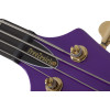 Schecter FreeZesicle Riot-4 Freeze Purple