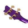 Schecter FreeZesicle Riot-4 Freeze Purple