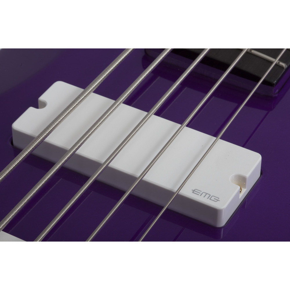 Schecter FreeZesicle Riot-5 Freeze Purple
