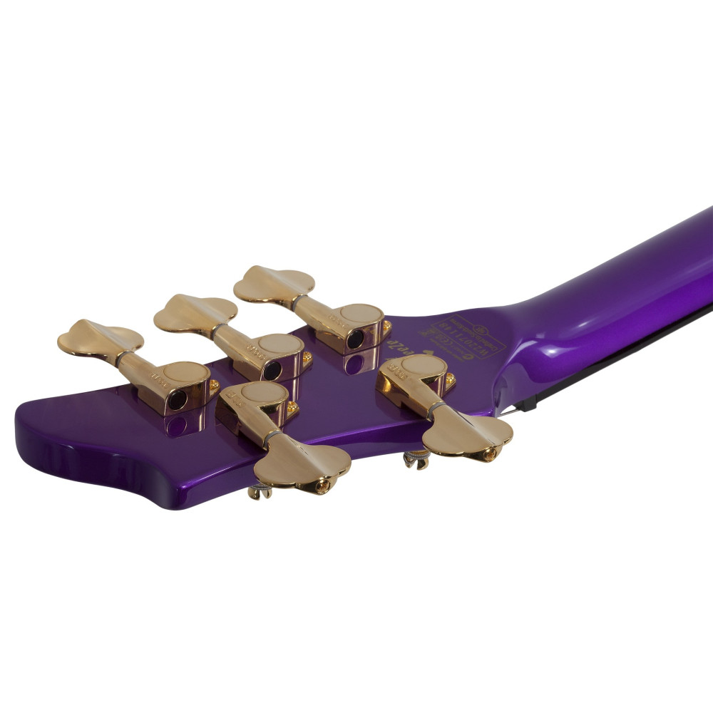 Schecter FreeZesicle Riot-5 Freeze Purple