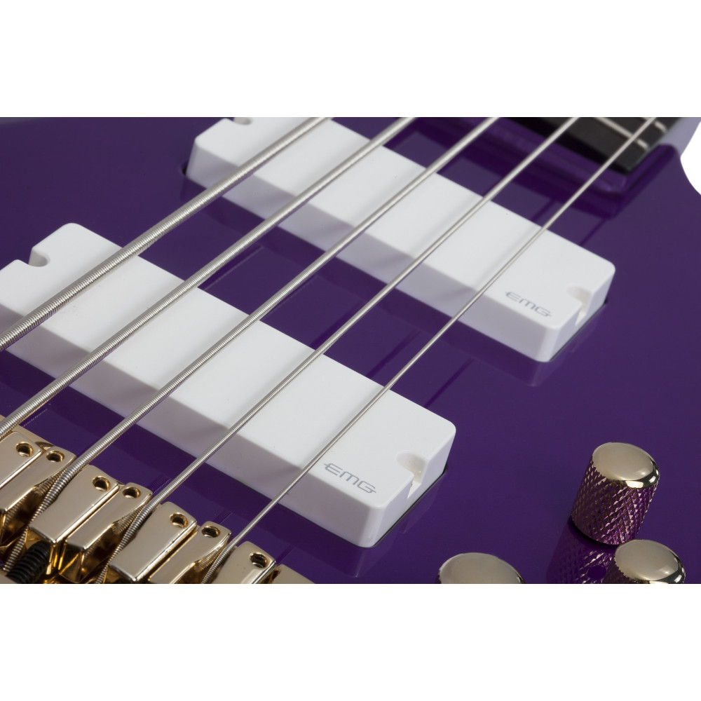 Schecter FreeZesicle Riot-5 Freeze Purple