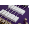 Schecter FreeZesicle Riot-5 Freeze Purple
