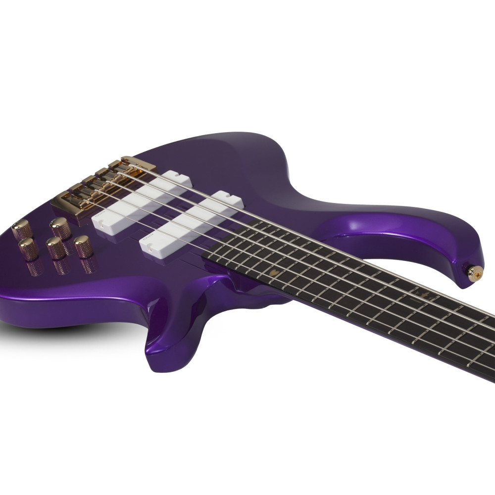 Schecter FreeZesicle Riot-5 Freeze Purple
