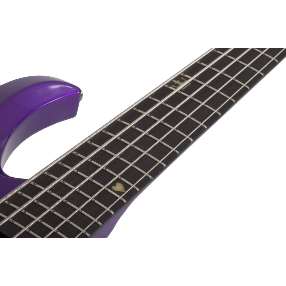 Schecter FreeZesicle Riot-5 Freeze Purple