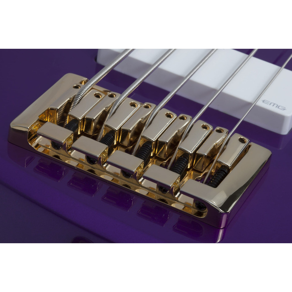 Schecter FreeZesicle Riot-5 Freeze Purple