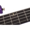 Schecter FreeZesicle Riot-5 Freeze Purple