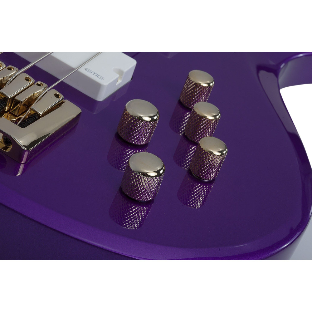 Schecter FreeZesicle Riot-5 Freeze Purple