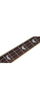 Schecter Stiletto Extreme-4 See-Thru Black (STBLK)