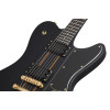Schecter Dan Donegan Signature Ultra Satin Black (SBK)