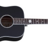Schecter SCH.283 RS-1000 Busker Acoustic Black