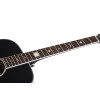 Schecter SCH.283 RS-1000 Busker Acoustic Black