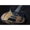Schecter Model-T 4 Exotic Black Limba Natural Satin