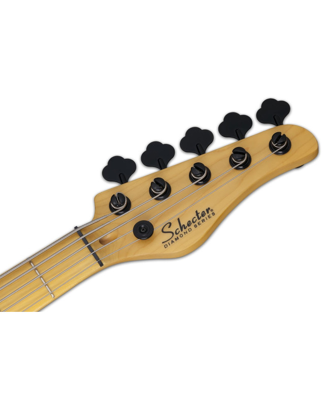 Schecter SCH.2847 Model-T Session-5 Aged Natural Satin