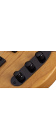 Schecter Model-T Session Aged Natural Satin