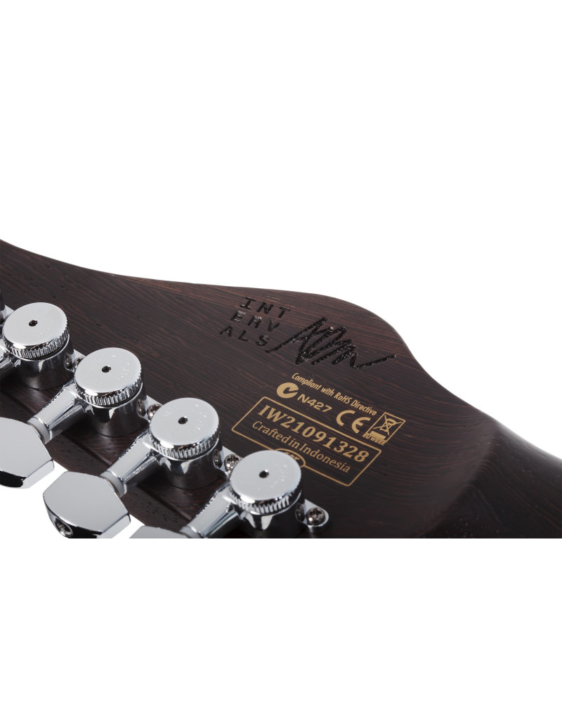 Schecter Aaron Marshall AM-6 Arctic Jade