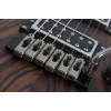 Schecter SCH.3337 C-1 Exotic Ebony Natural Satin
