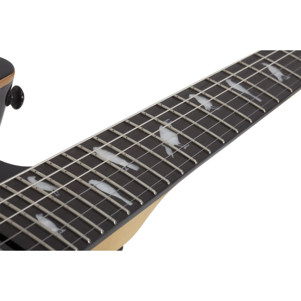 Schecter DJ Ashba Natural Black Burst