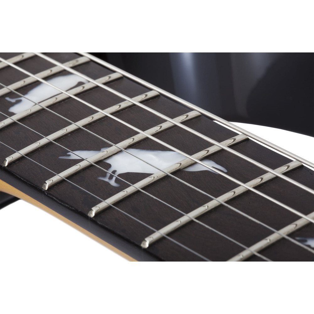 Schecter DJ Ashba Natural Black Burst