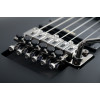 Schecter Demon-6 FR Aged Black Satin