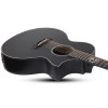 Schecter Regulo Caro-7 Acoustic Satin Black