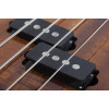 Schecter Michael Anthony MA-4 Bass Gloss Natural