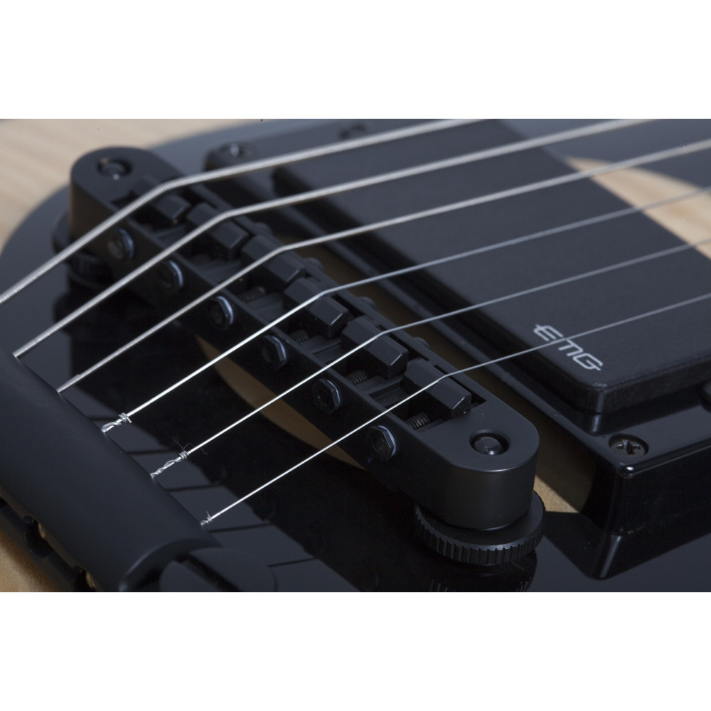 Schecter Odin Grail RawTop (RT)