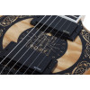 Schecter Nomad Norse Dragon RawTop