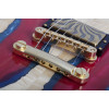 Schecter Goreghen Special Edition Blood River Burl