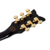 Schecter ZV-H6LLYW66D-S LH Gloss Black