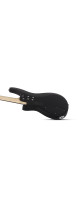 Schecter C-4 Deluxe Satin Black