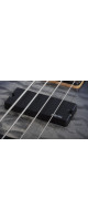Schecter C-4 Plus Charcoal Burst