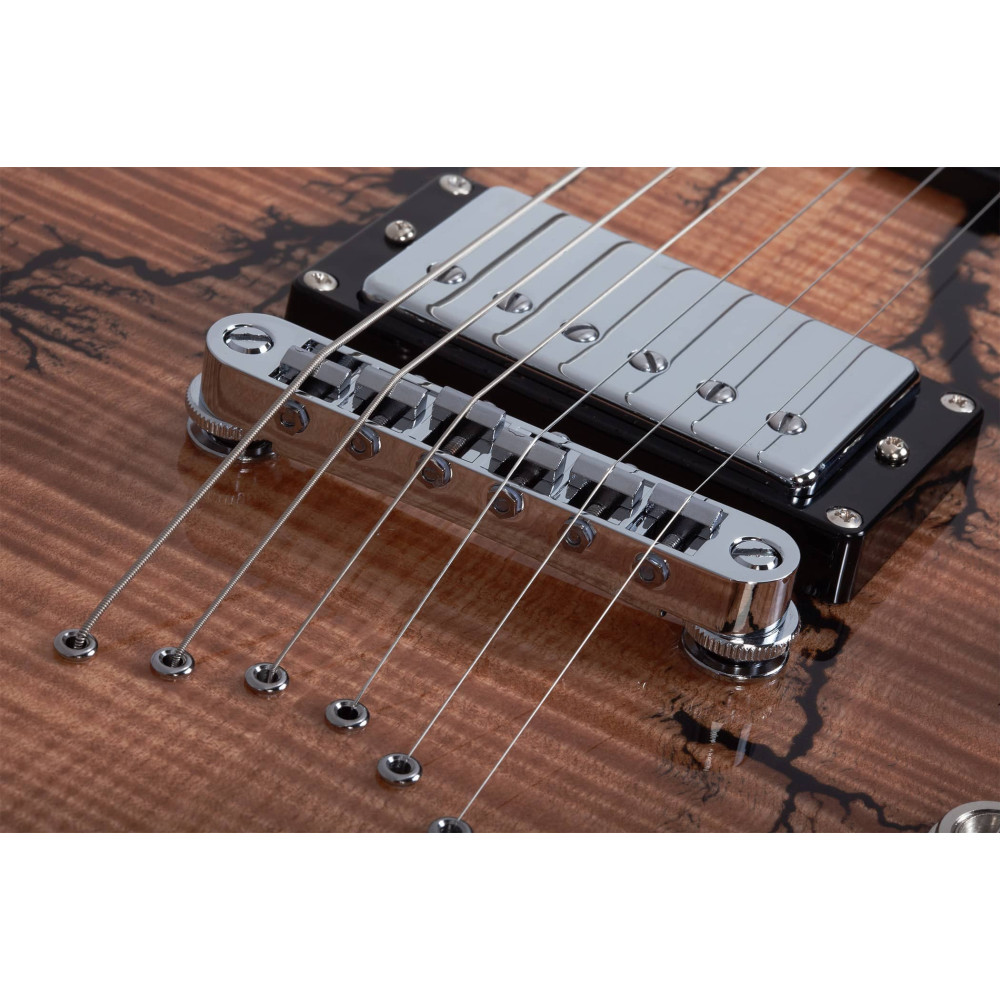Schecter V-1 Electro-Resin Gloss Natural