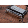 Schecter V-1 Electro-Resin Gloss Natural
