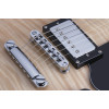 Schecter Solo-II Custom Gloss Natural (GNAT)