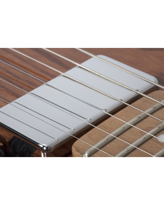 Schecter SCH.700 PT Van Nuys Gloss Natural Ash