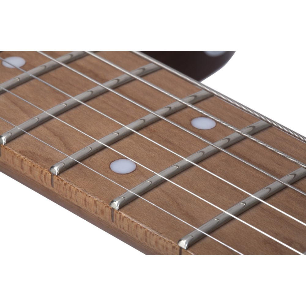 Schecter SCH.700 PT Van Nuys Gloss Natural Ash