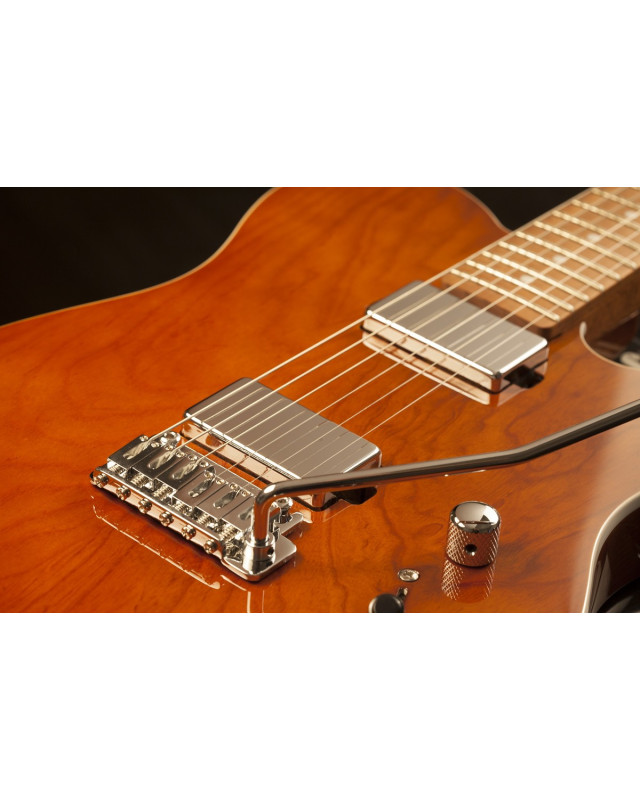 Schecter SCH.700 PT Van Nuys Gloss Natural Ash