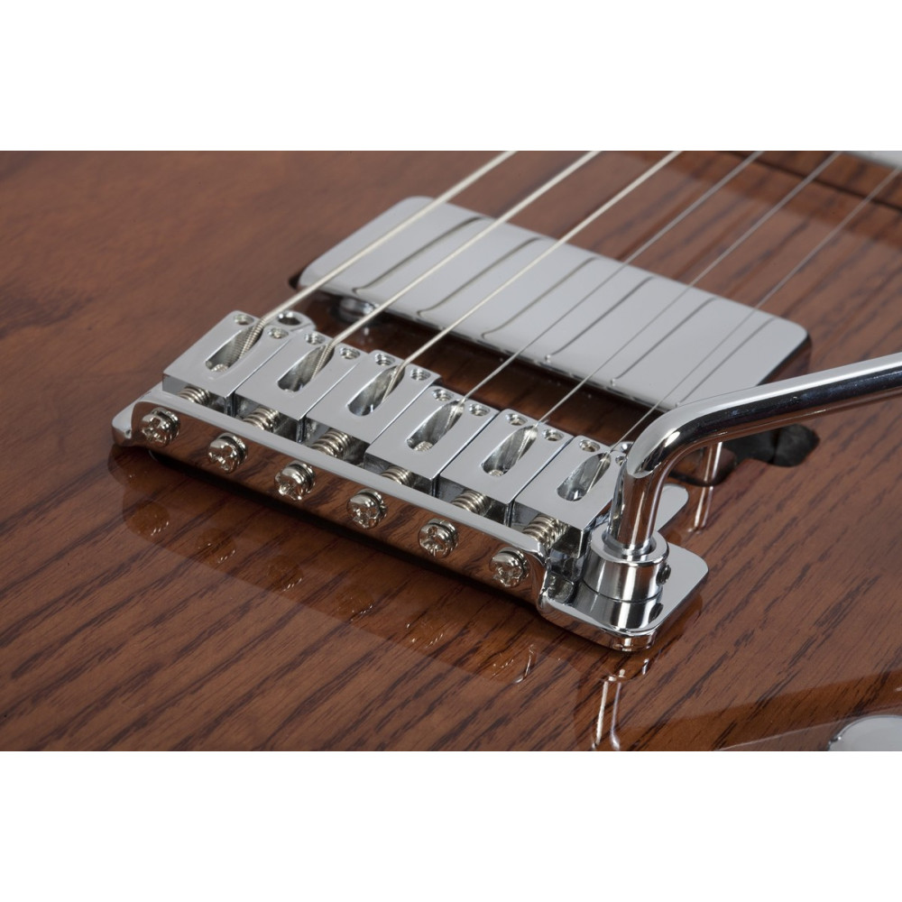Schecter SCH.700 PT Van Nuys Gloss Natural Ash
