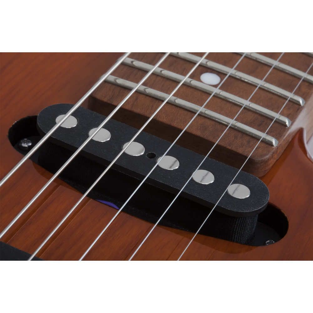Schecter Traditional Van Nuys Gloss Natural Ash
