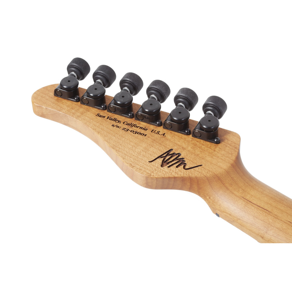 Schecter Aaron Marshall AM-6 USA Pale Emerald