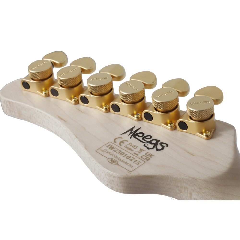Schecter Meegs PT EX Charcoal Burst