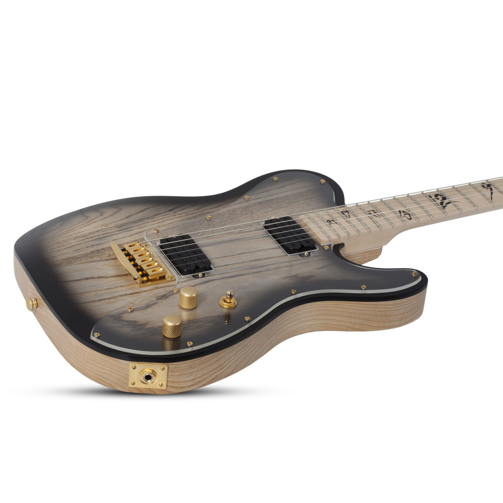 Schecter Meegs PT EX Charcoal Burst