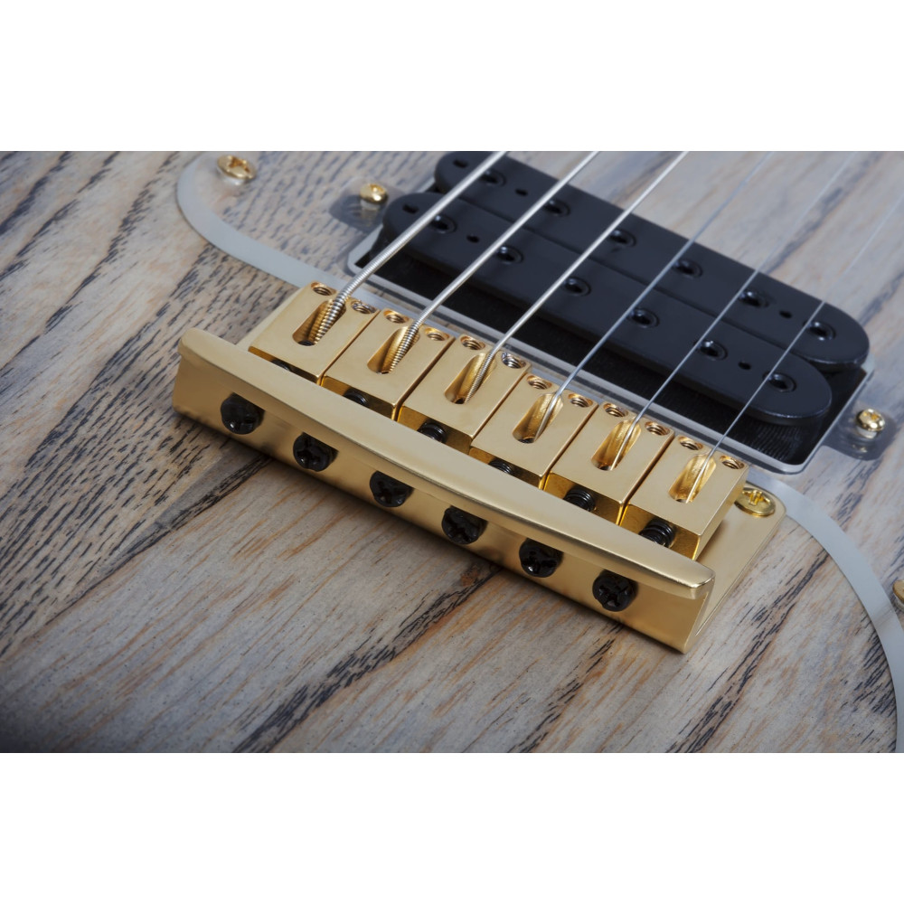 Schecter Meegs PT EX Charcoal Burst