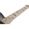 Schecter Meegs PT EX Charcoal Burst