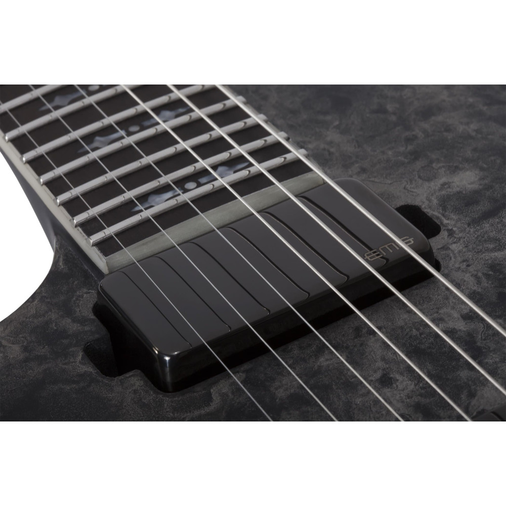 Schecter Ernie C C-1 LH Satin Black Reign