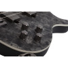 Schecter MVP C-4 Black Reign