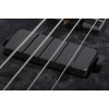 Schecter MVP C-4 Black Reign